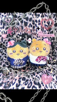 伊莎貝拉