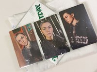 正規五 率
