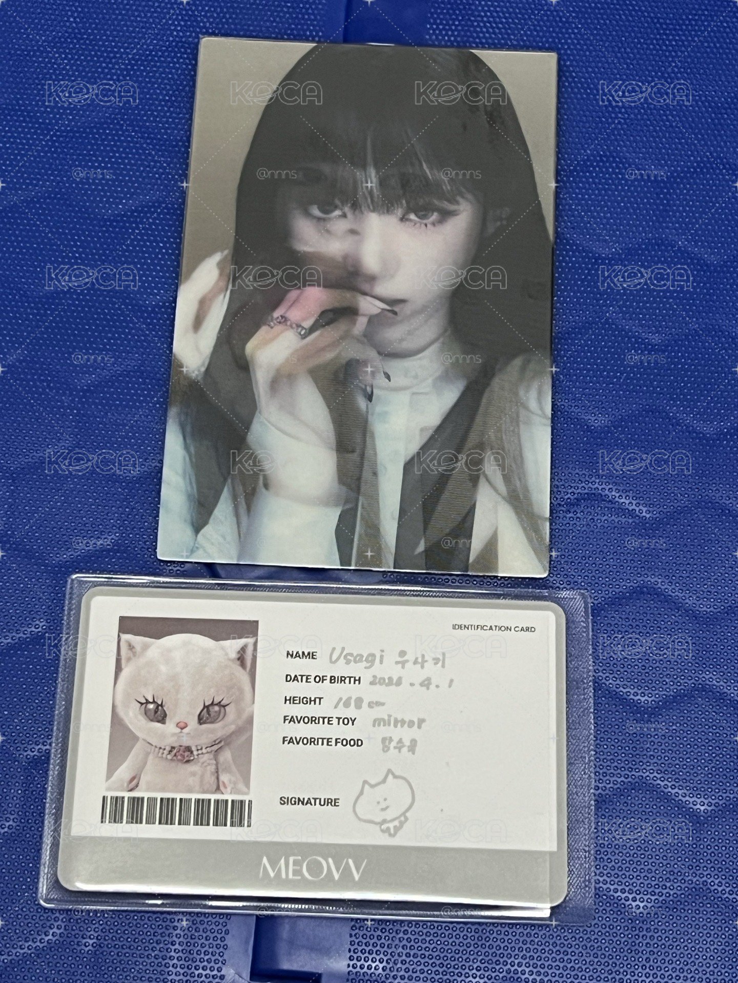 娃專專卡 Anna