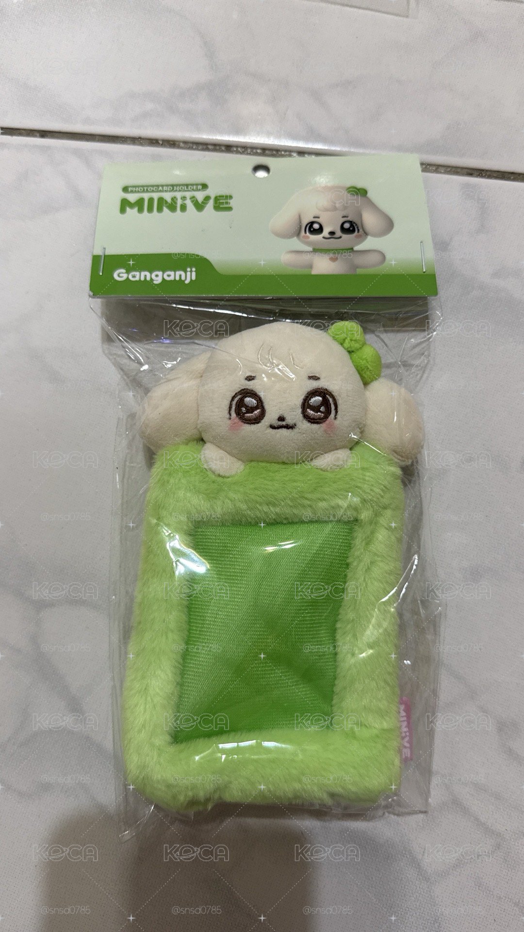 現貨 IVE DIVE into MINIVE 安 卡套 (組) 