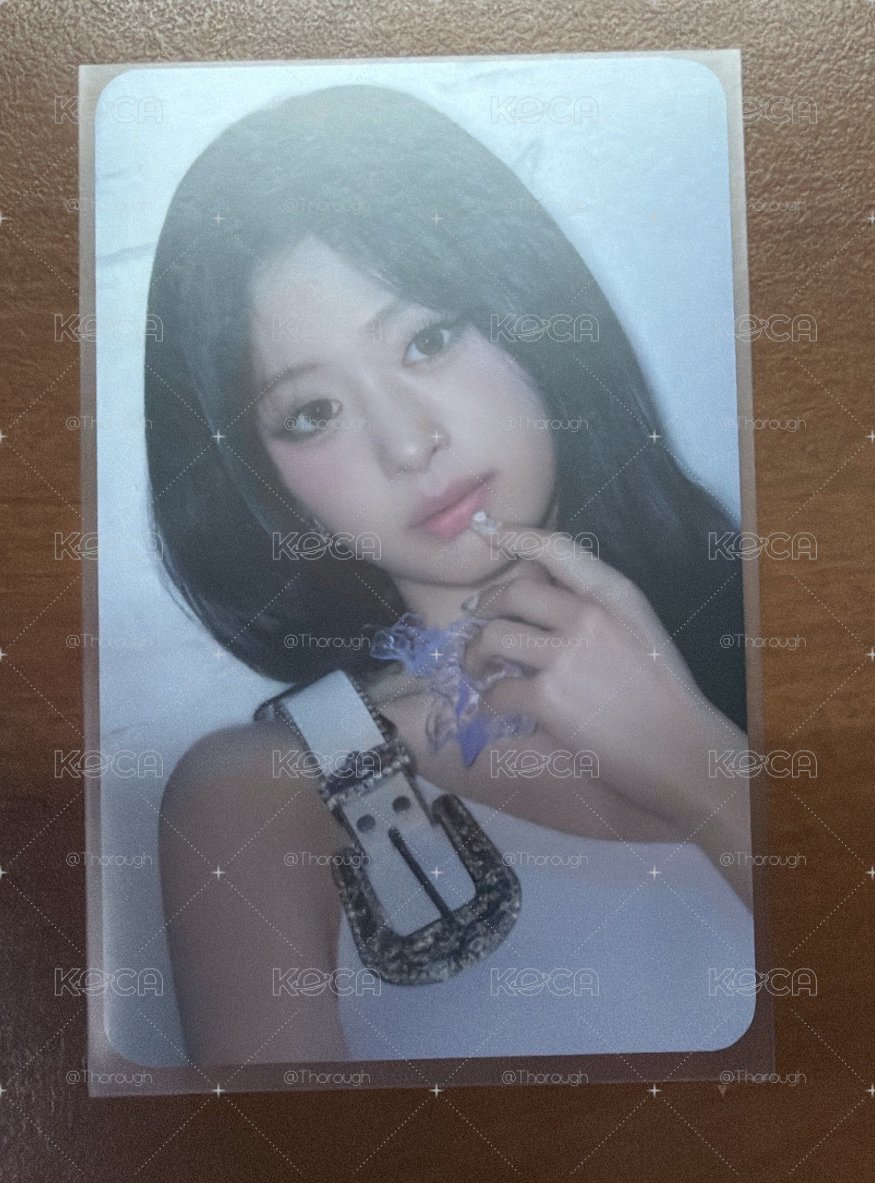 世巡賢