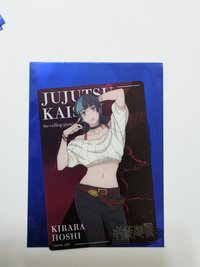 星綺羅羅金屬卡
