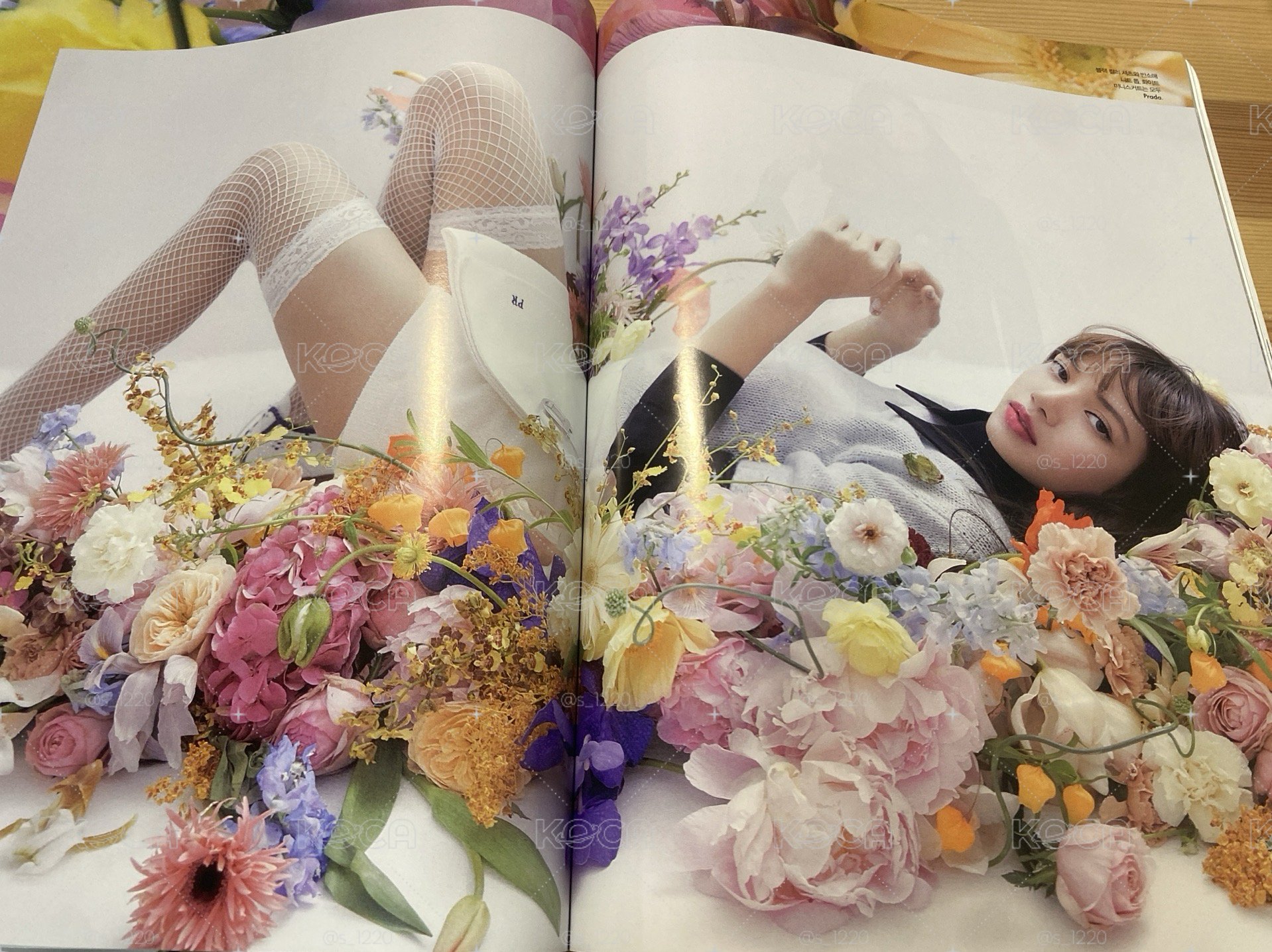 絕版Lisa 雜誌
