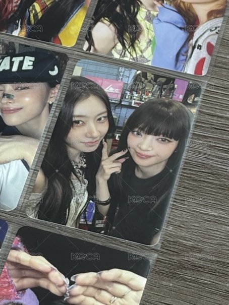 領粒