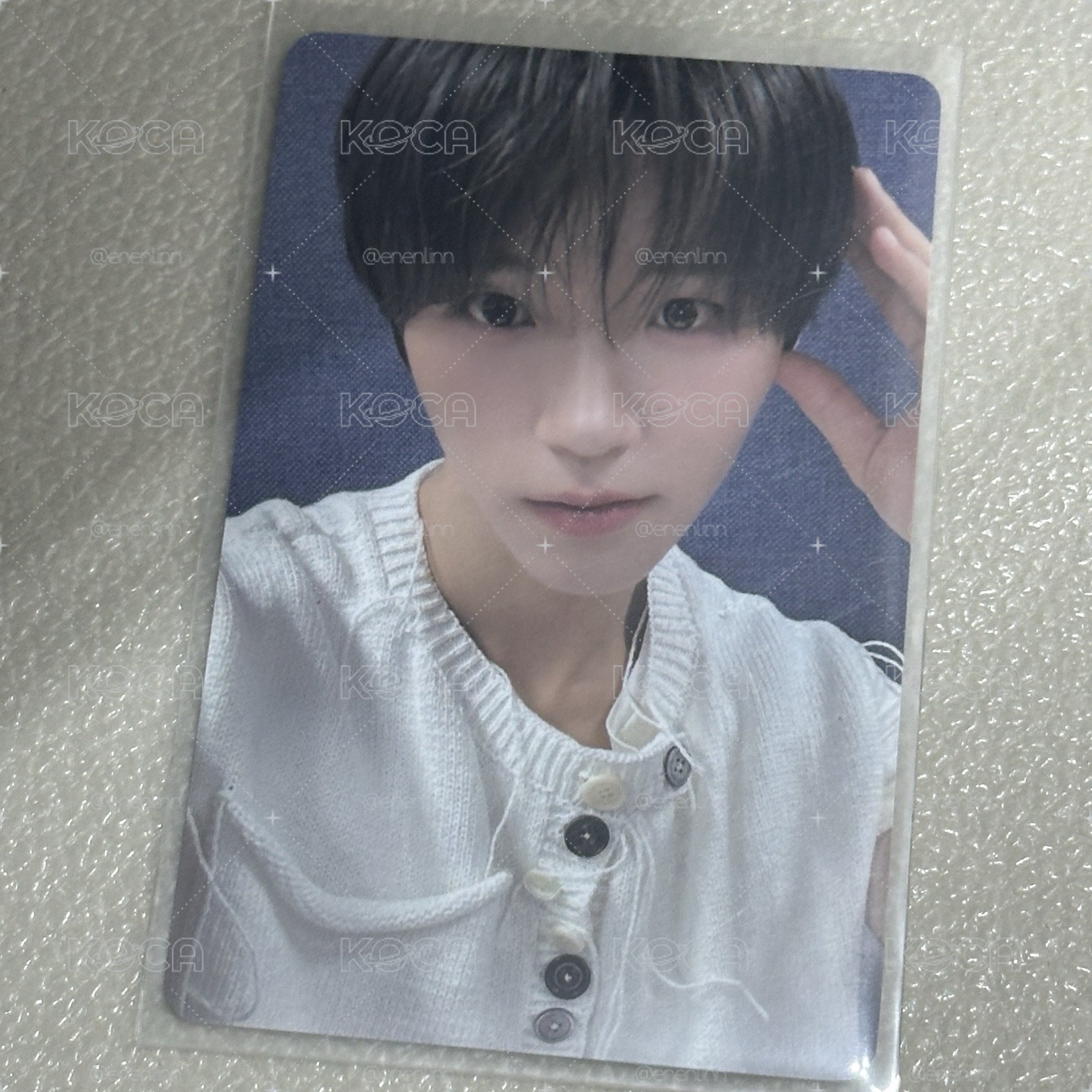 小狗耳朵🌳
