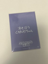 24年 燦91（手寫卡背）