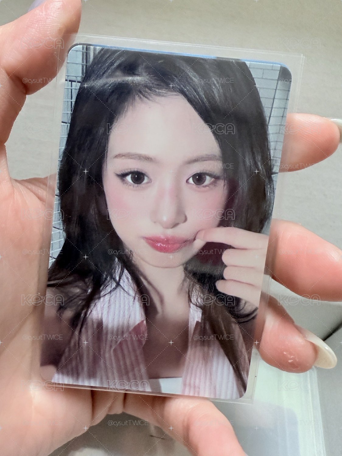 萌萌捏臉冰茶賢💕