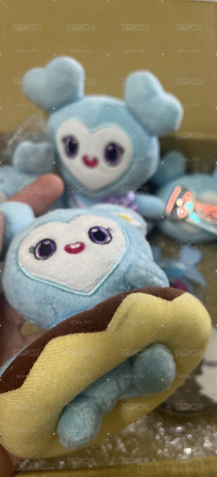 娜娃盤出