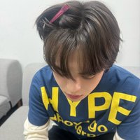 迷你龍(即日起～8/22有LEO PC訂閱證明每筆訂單可折$50)