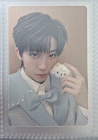 小羊N
