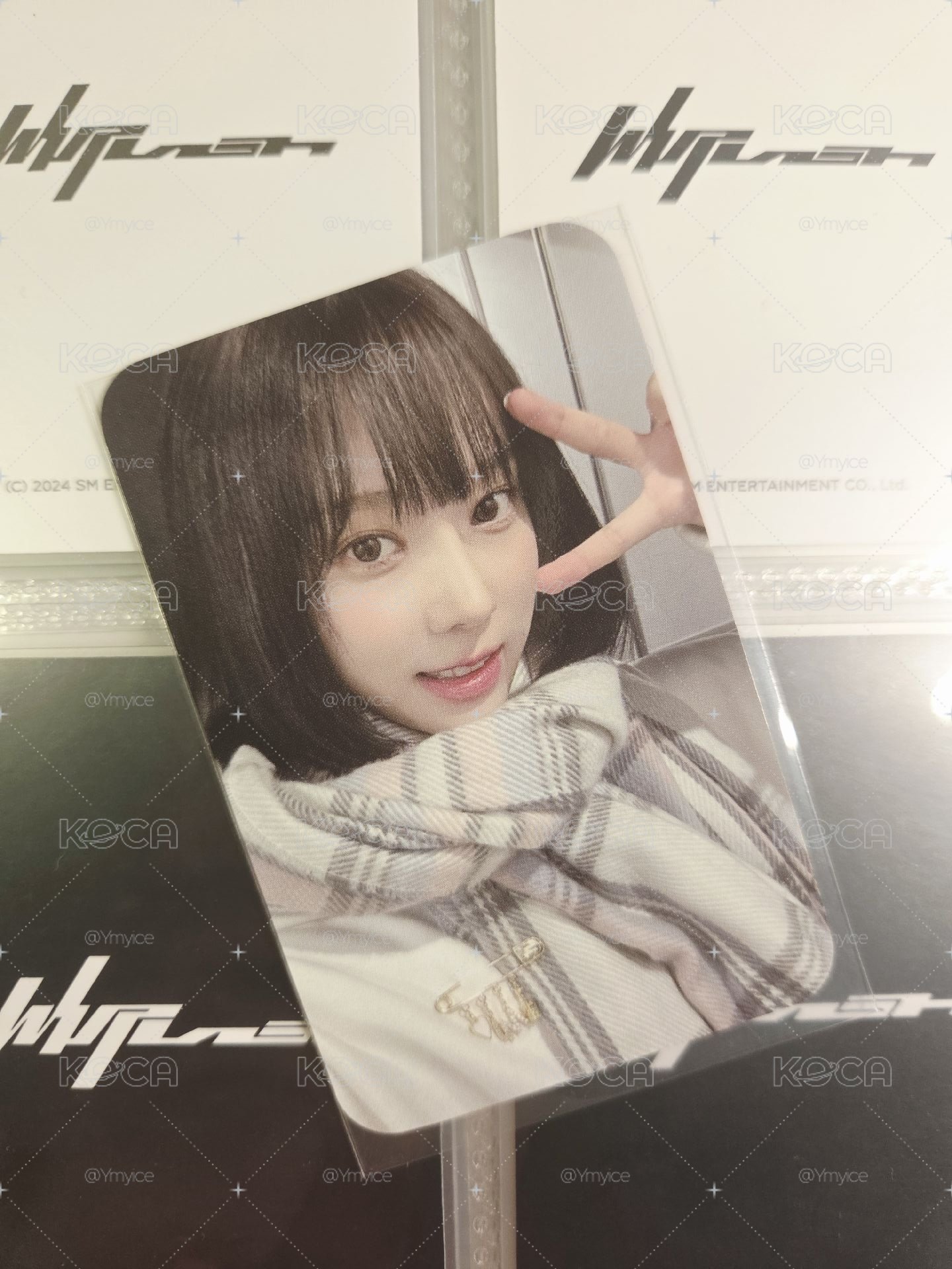 23生日冬