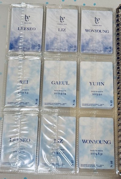 已絕版現貨 IVE 萬代餅卡 第一彈