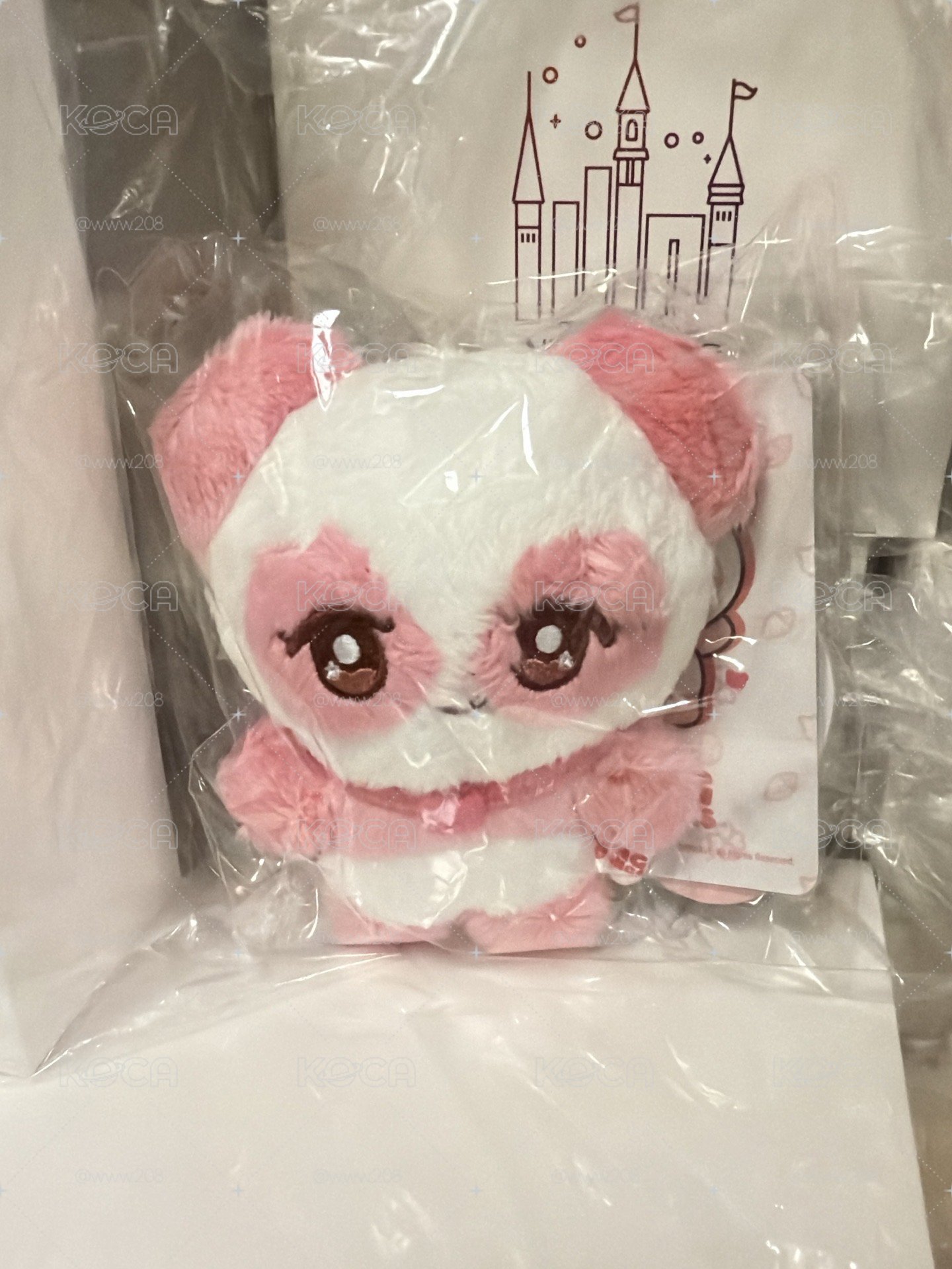 在台現貨 APINK 8巡 RONGDOONG 吊娃 