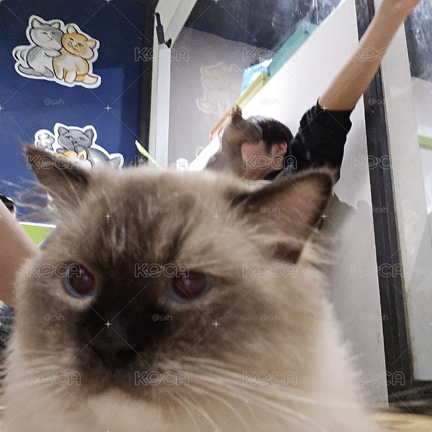 張桂源奔跑四