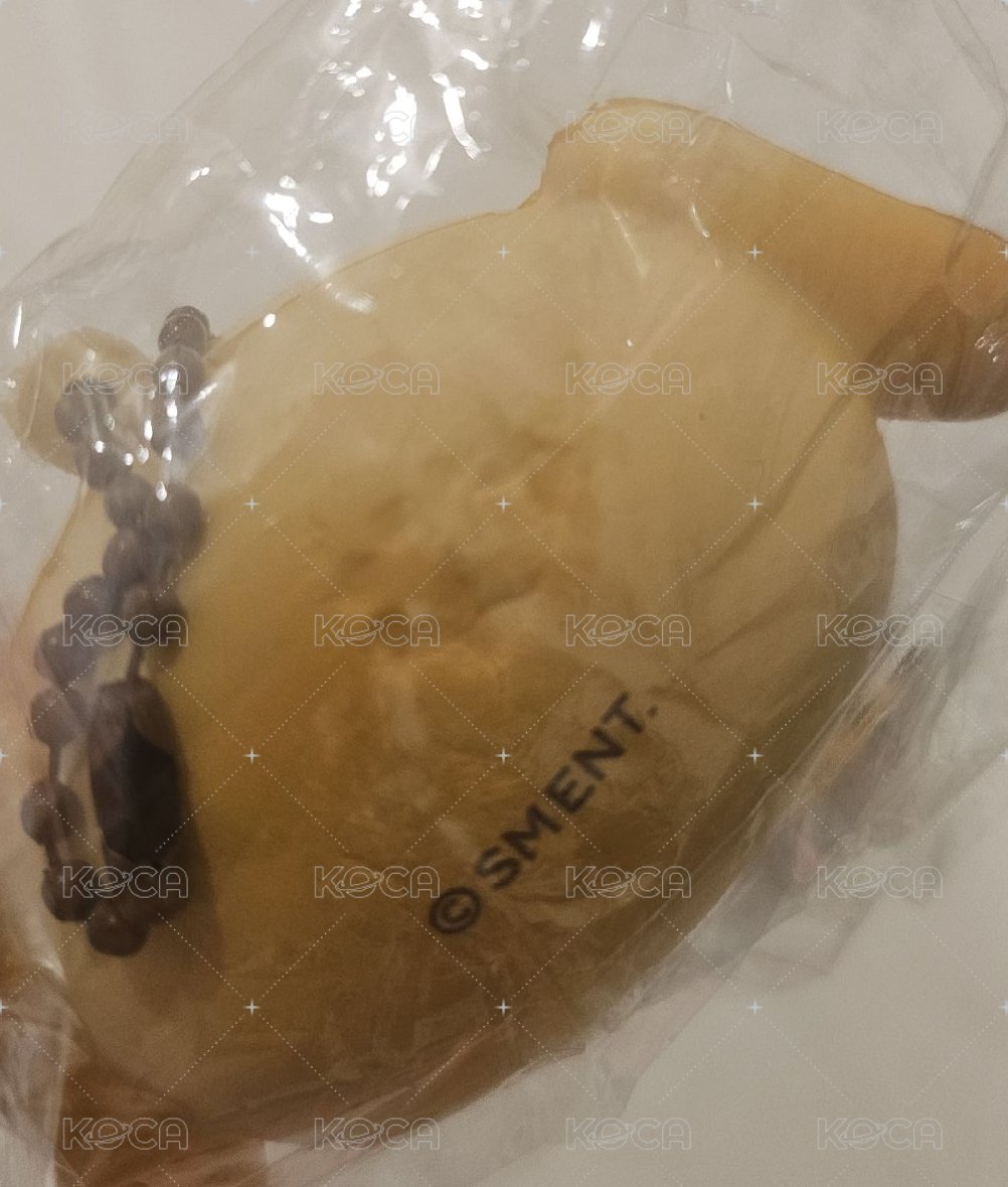 遼