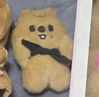 捧臉娃