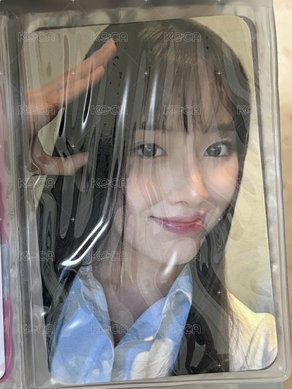 狗耳友