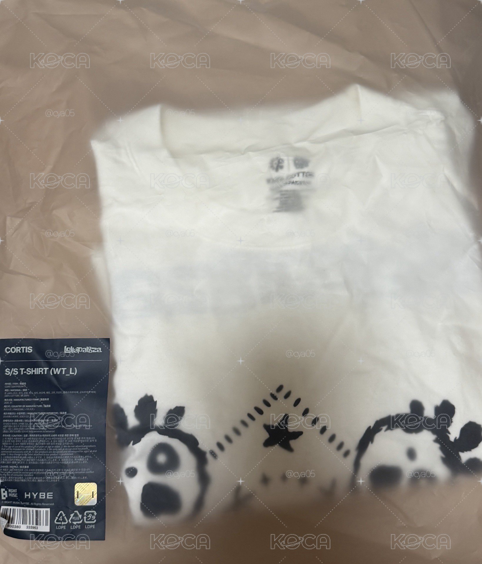Lollapalooza xCORTIS 白T size L