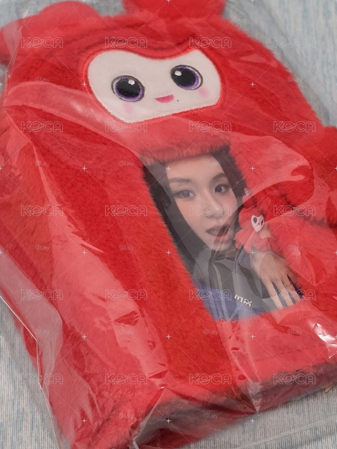 TWICE 絨毛小卡收集冊_彩瑛