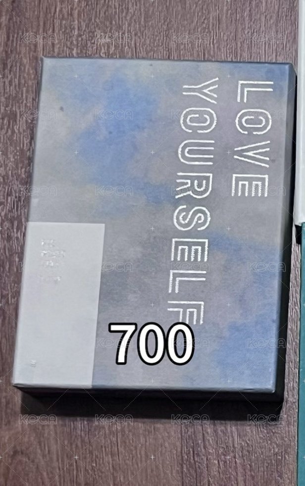 LY Tour DVD 歐洲
