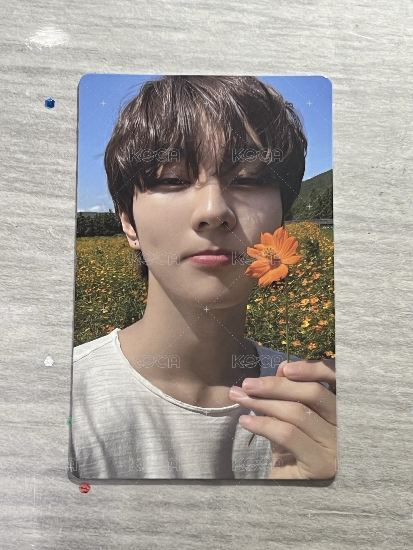 迷五專卡
