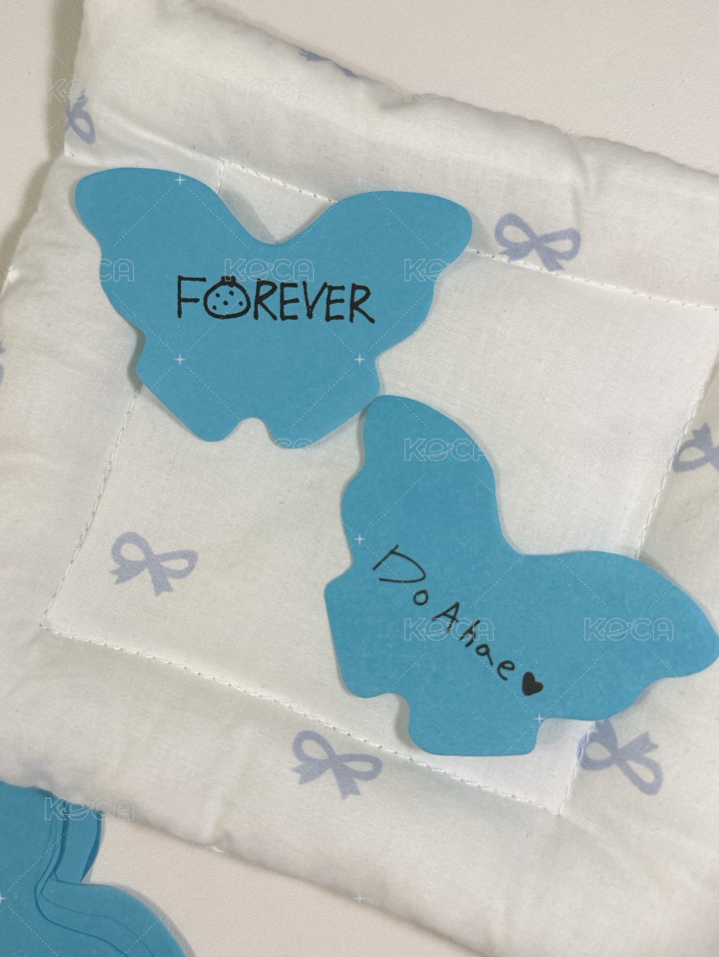 🐶（僅碩一張）