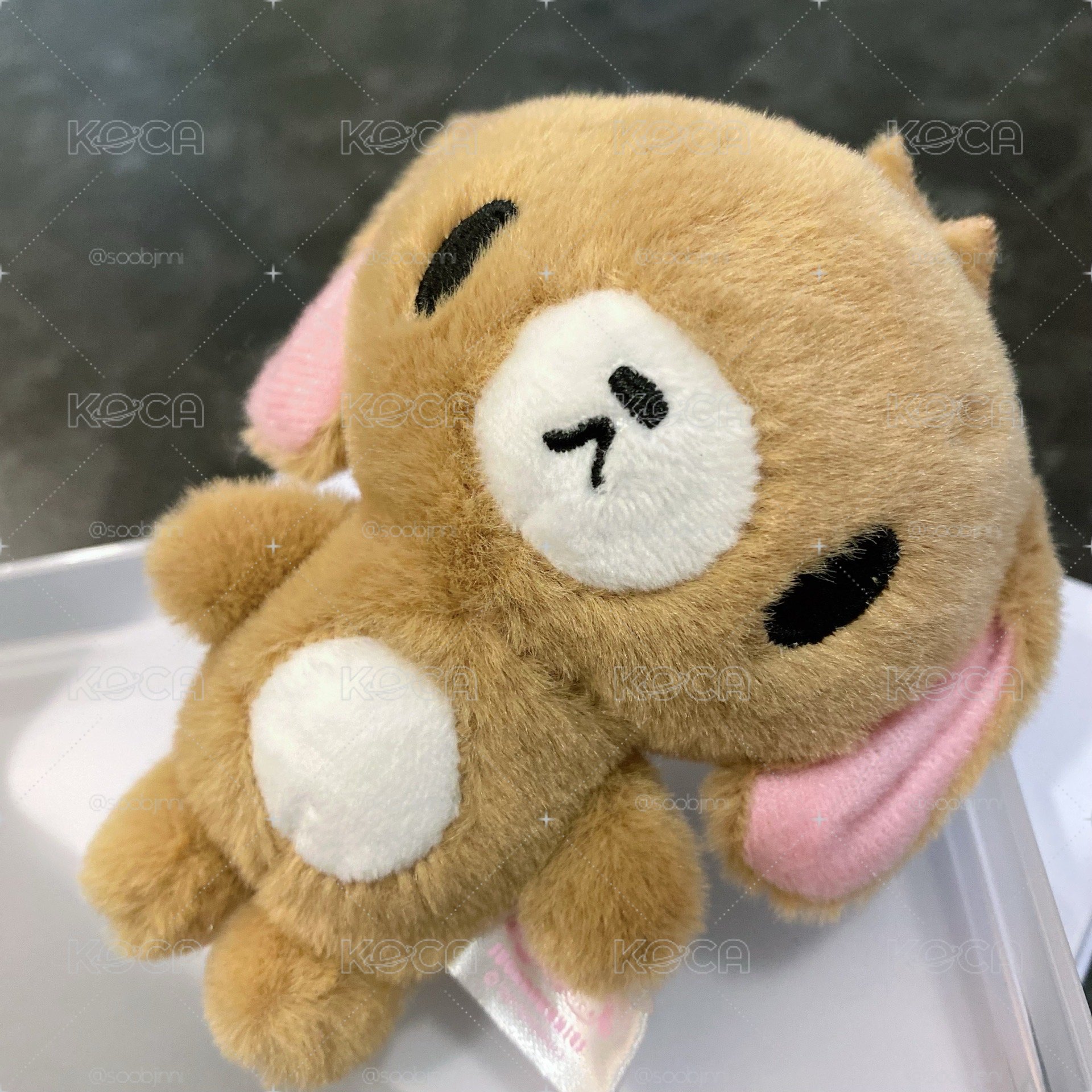 蜜糖邦尼 韓限定