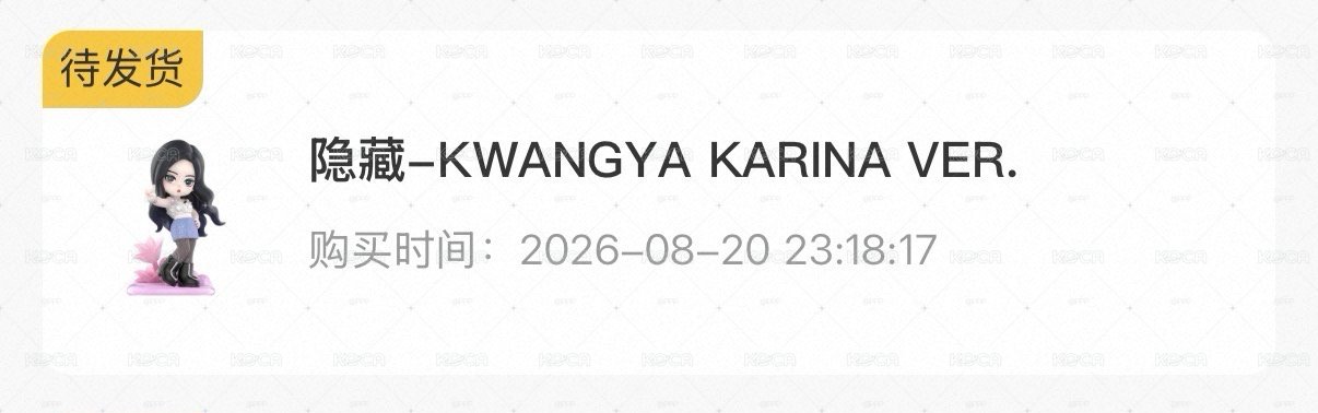 popmart隱藏款karina公仔