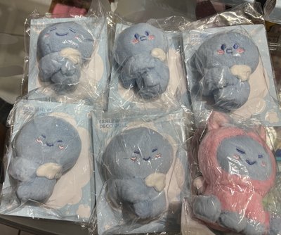 （現貨）SJ 安可場周邊