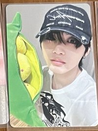 泰山豌豆卡