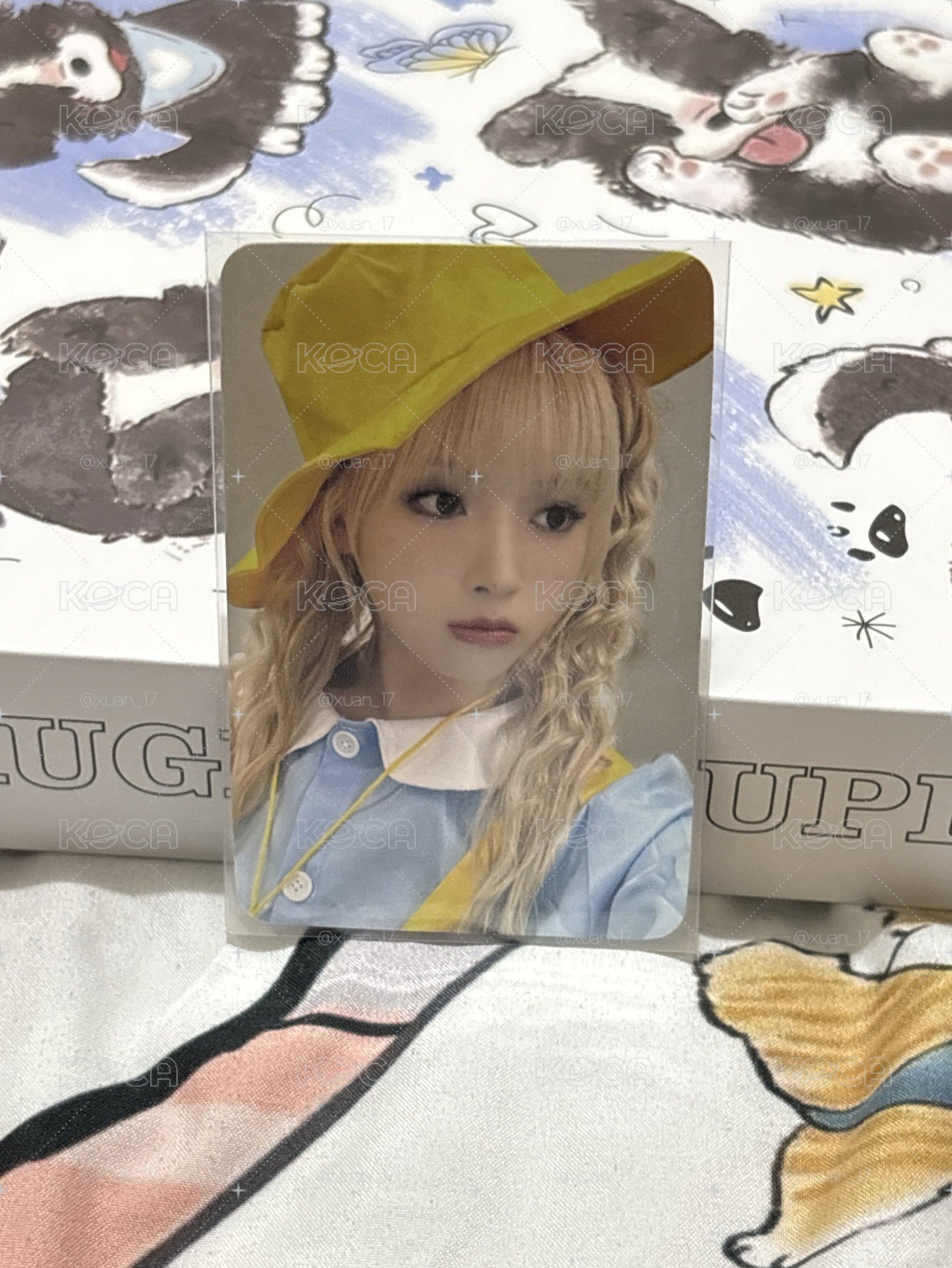 STICK OUT sw 5.0 簽售卡 幼稚園友
