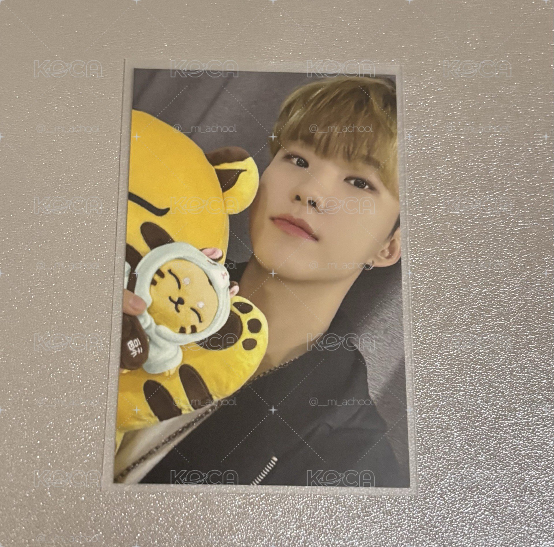 SEVENTEEN Hoshi 耽耽周邊卡