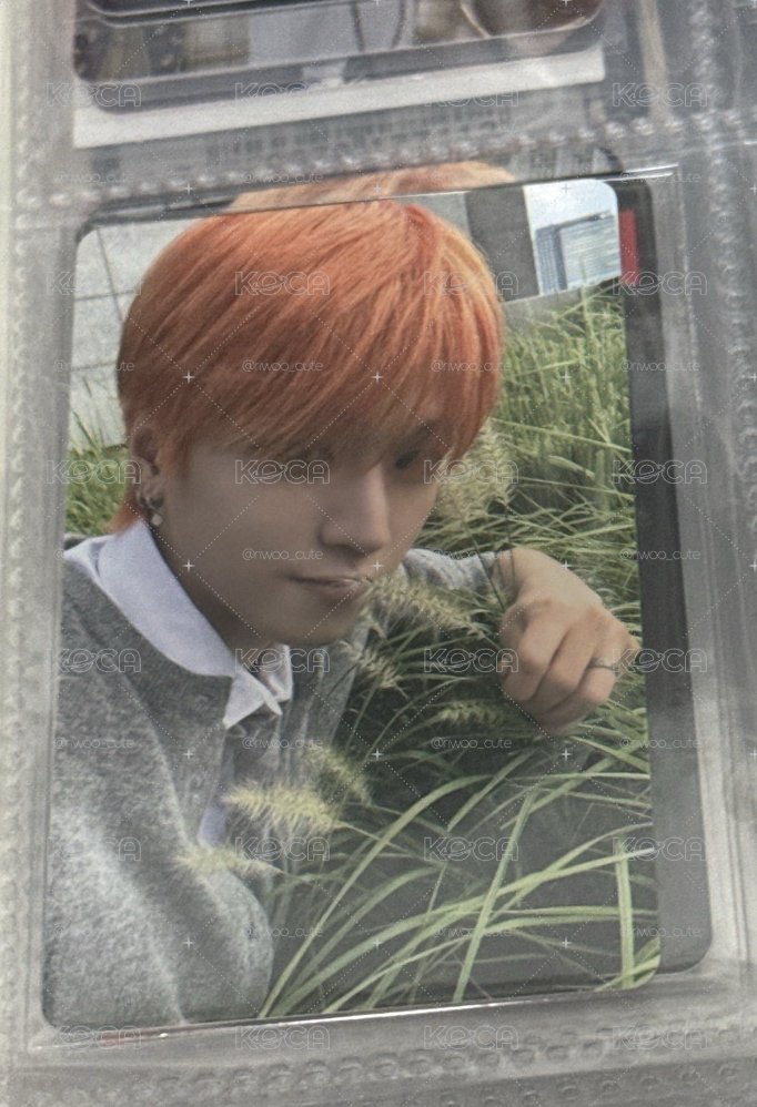 🏠常赫小卡