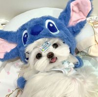 維