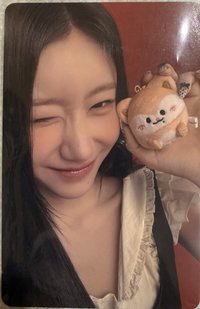 2026 FM fans 手燈包 周邊卡