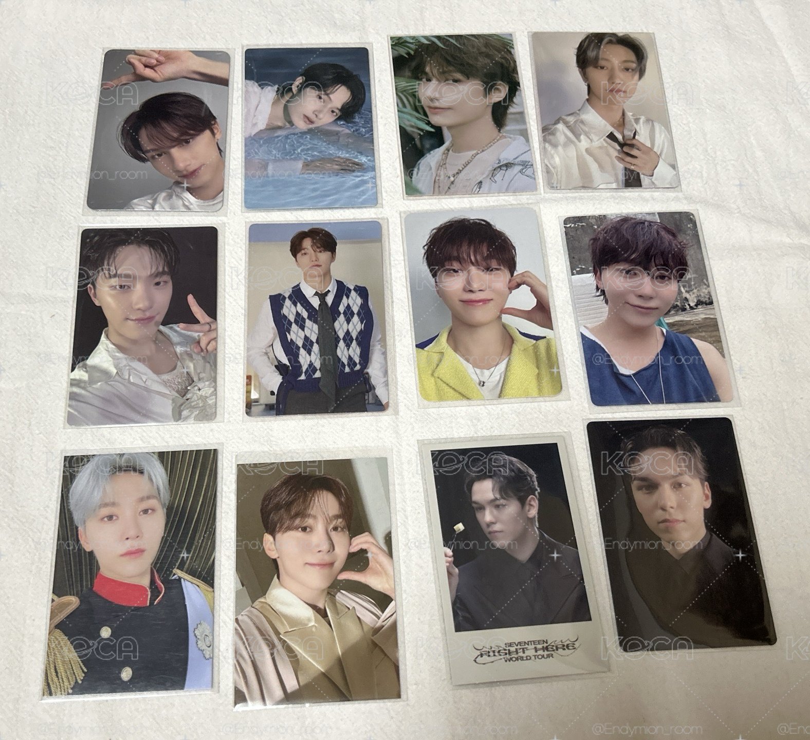 SEVENTEEN 小盤 喆漢圓榮俊八燦寛