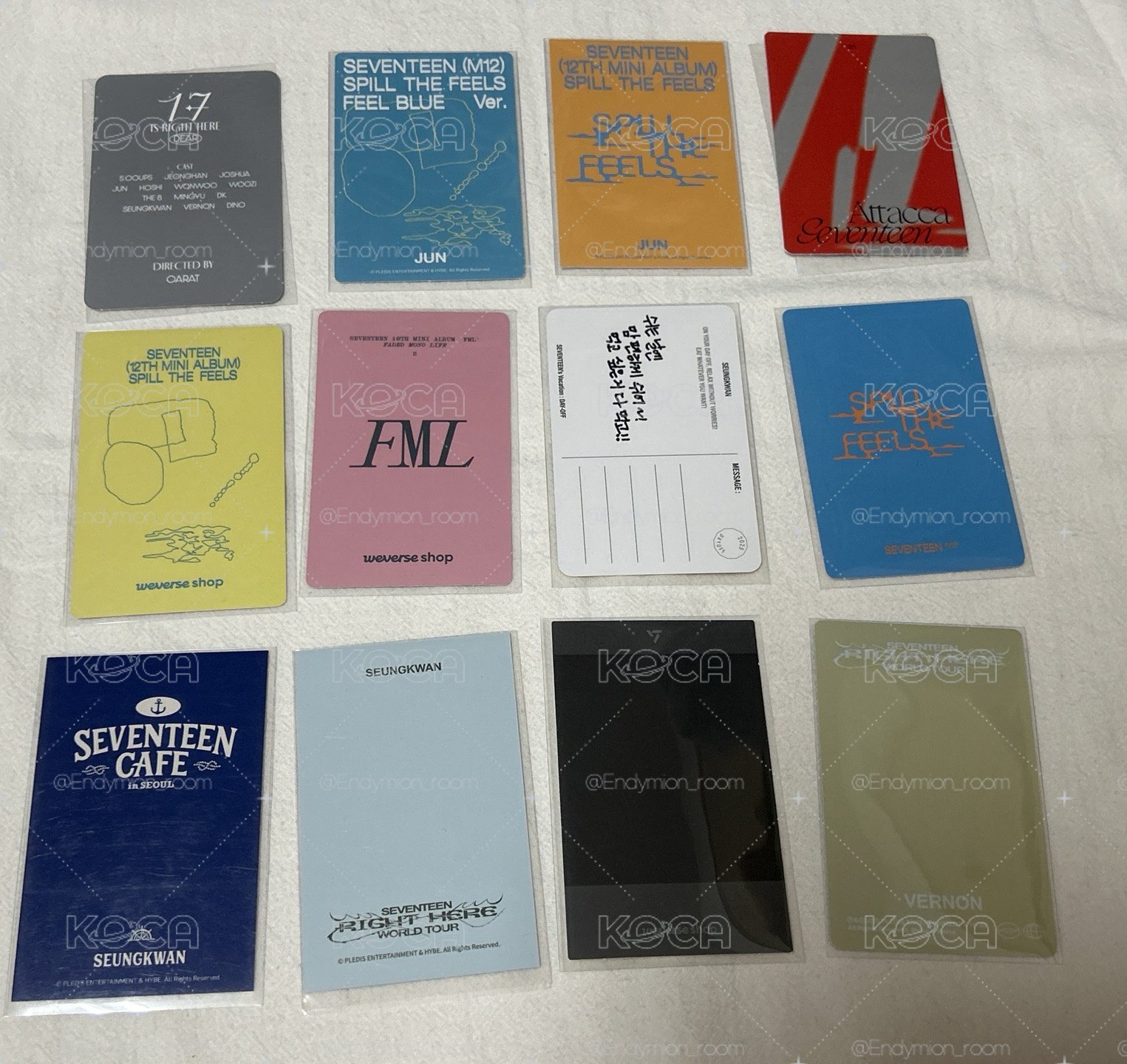 SEVENTEEN 小盤 喆漢圓榮俊八燦寛