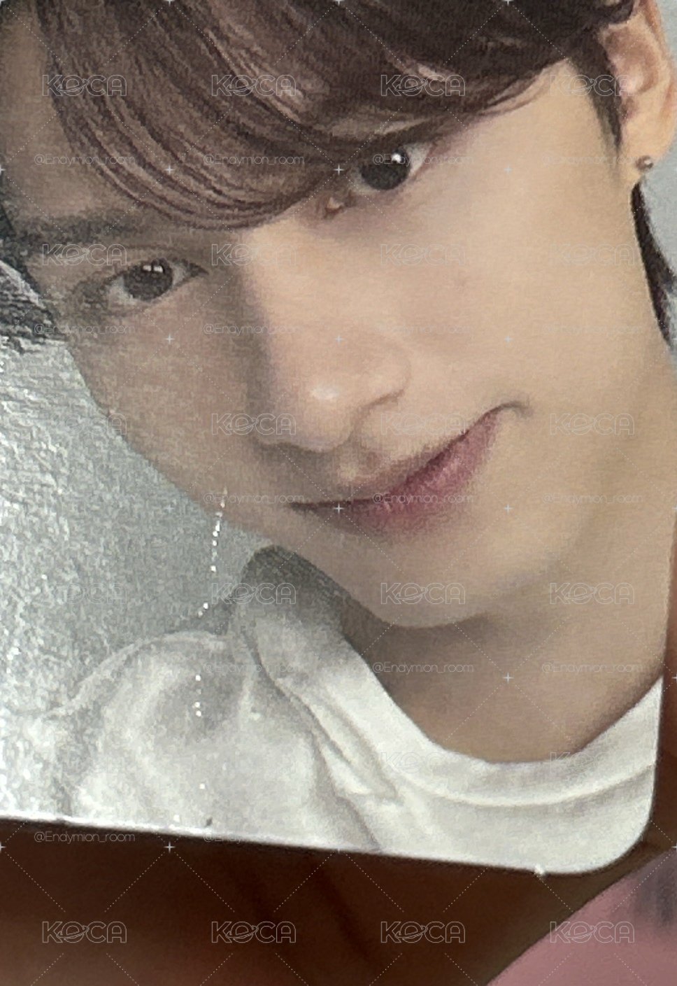 SEVENTEEN 小盤 喆漢圓榮俊八燦寛