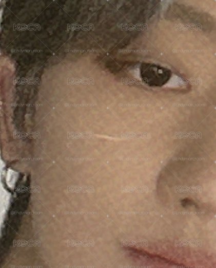 SEVENTEEN 小盤 喆漢圓榮俊八燦寛