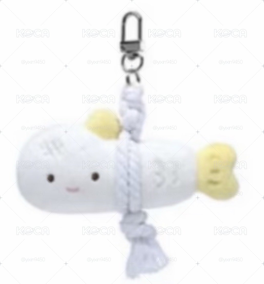 aespa四巡韓場周邊 冬魚乾（不要收藏了！錯過好價就沒有了😞）