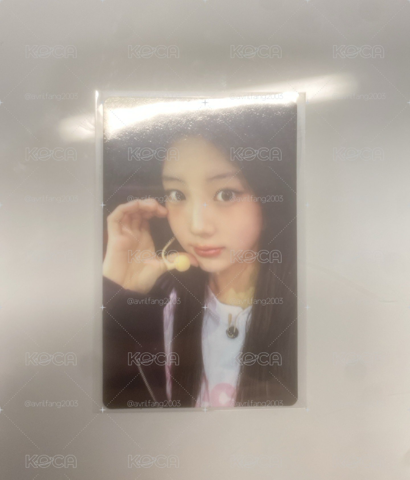 Wonhee dingo