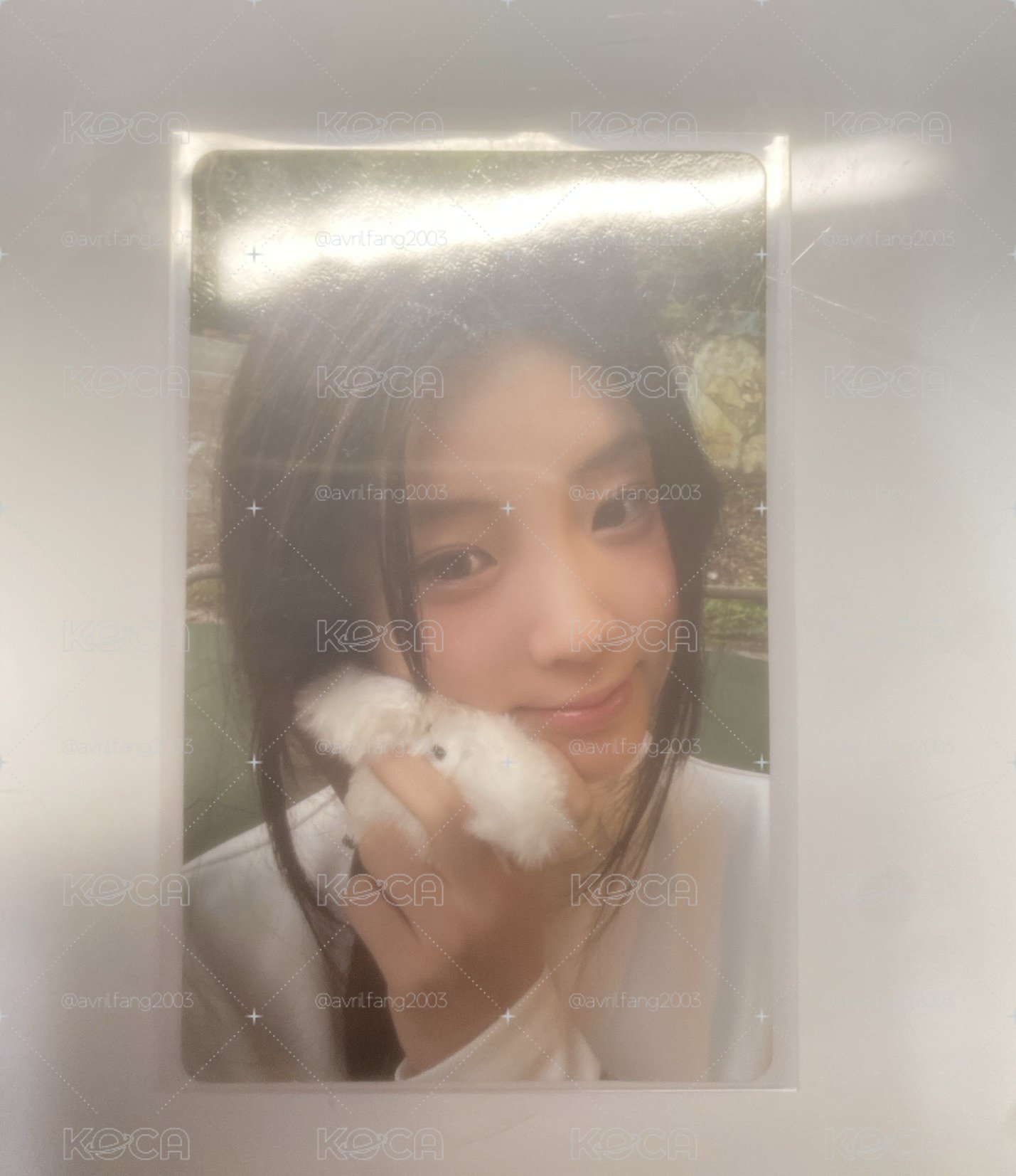 Wonhee wvs