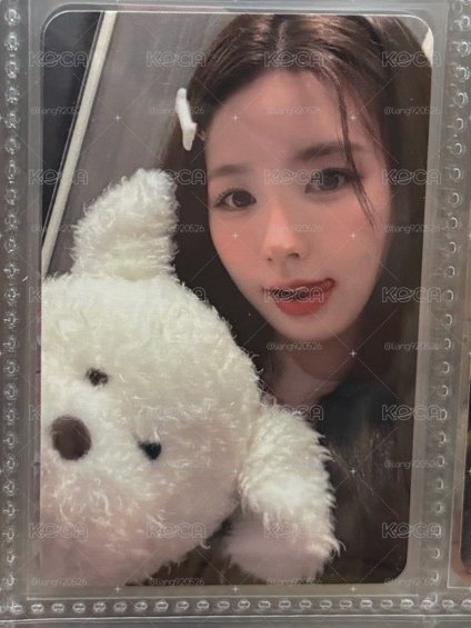狗狗麵