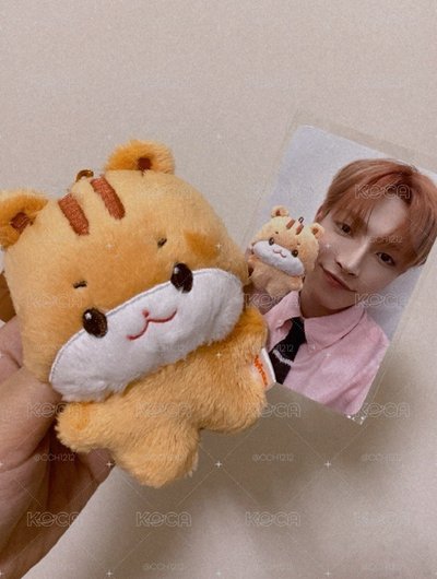 中中的娃🐯🐿️