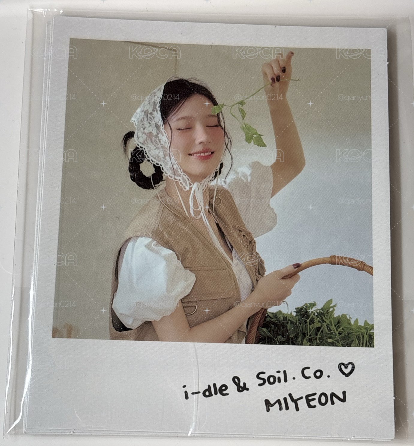 2026 season’s greetings 拍立得