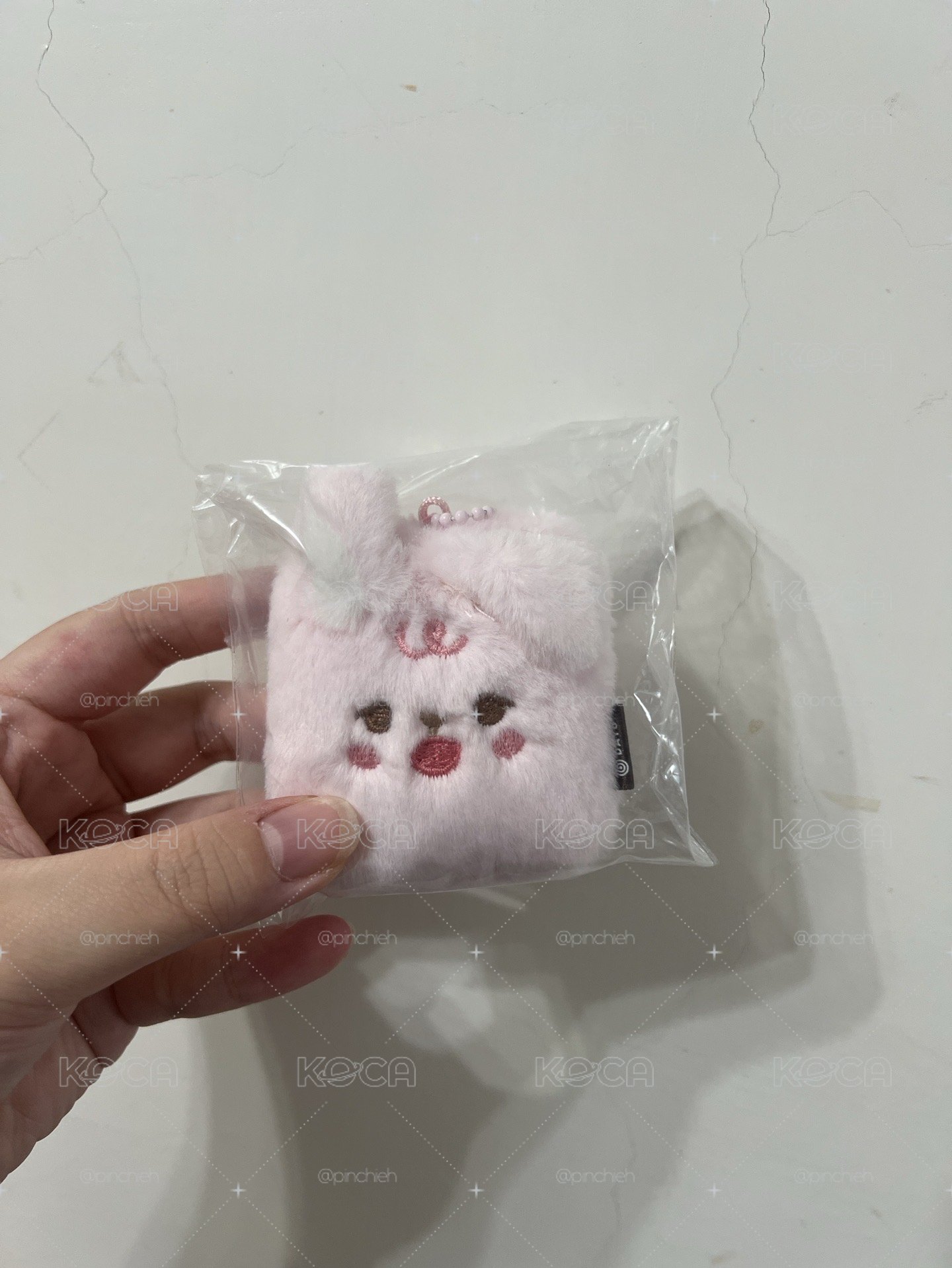 方塊酥PIL 無原袋 有證件照