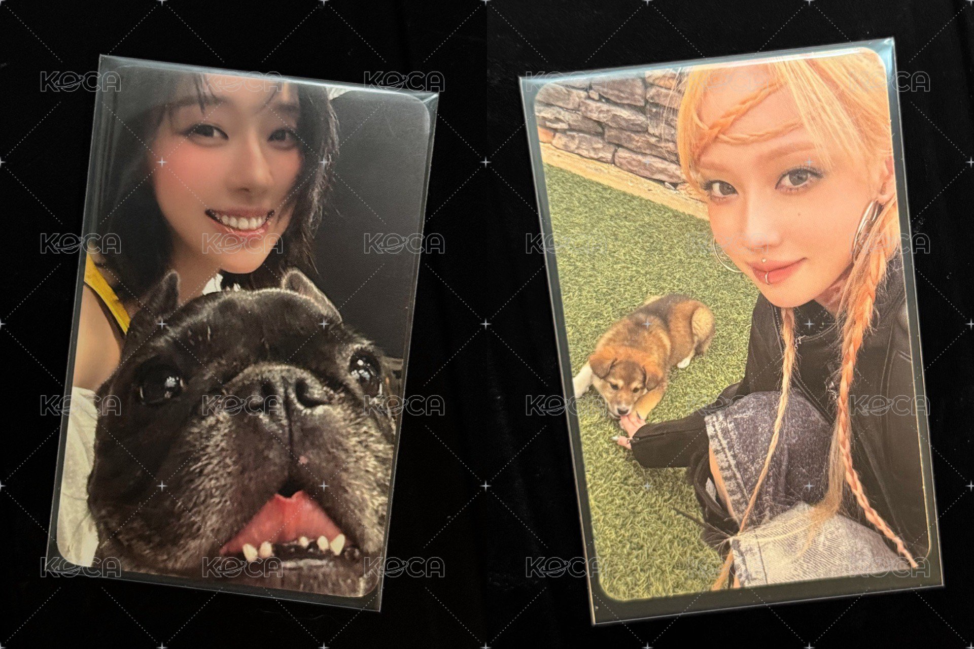 兩隻（四隻）小狗冬🐶
