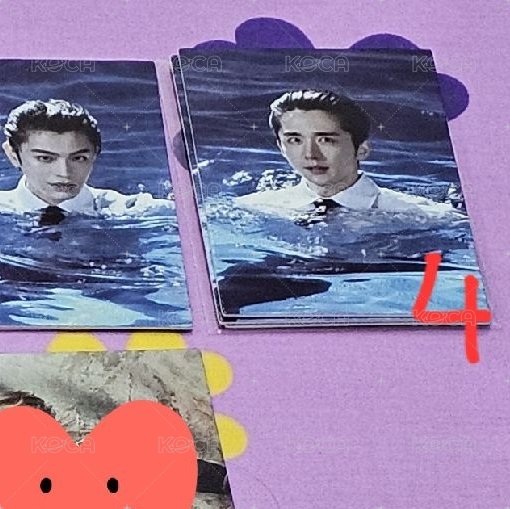 本哥02
