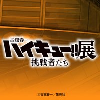 排球少年！！展 挑戰者們