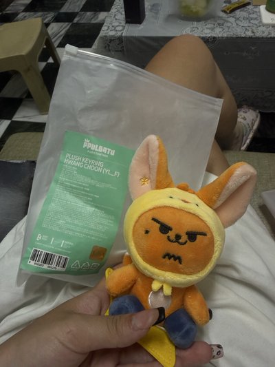 FINDING MOA 娃娃玩偶 黃春坐娃